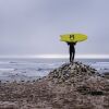 Отель Salty Jackal Backpackers & Surf Camp, фото 44