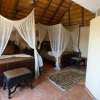 Отель Babson House @ Cheetah Conservation Fund, фото 10