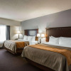 Отель Comfort Inn & Suites Lumberton Central I-95, фото 3