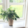 Отель Spangsgaard bed and breakfast, фото 14