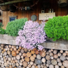 Отель La cabane du chineur, фото 1