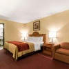 Отель Comfort Inn, фото 5