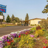 Отель Rodeway Inn & Suites, фото 13