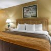 Отель EverSpring Inn & Suites, фото 5