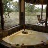 Отель Thornybush Jackalberry Lodge, фото 7