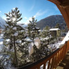 Отель Chalet Alpina Hotel & Apartments, фото 16
