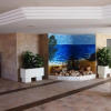 Отель Apartamentos Turquesa Beach, фото 4
