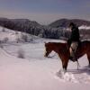 Отель Agriturismo La Nevera, фото 23