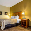 Отель Quality Inn, фото 4