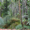 Отель Eden Homestay, фото 7