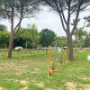 Отель Camping 3 Estrellas Costa Brava, фото 19