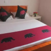 Отель Surf reef guest house, фото 15