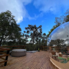 Отель Zion Bubble Glamping, фото 30