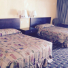 Отель Budget Inn East, фото 5