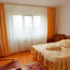 Отель Pensiunea Ana, фото 3