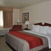 Отель SureStay Plus Hotel by Best Western Buffalo, фото 48