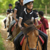 Отель Olive Farm At Embassy International Riding School, фото 13