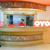 Отель Viceroy by OYO Rooms, фото 2