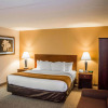 Отель Comfort Inn Northeast, фото 5