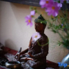 Отель Yiliang Taoyuan Valley Homestay, фото 11