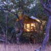 Отель Mukambi Fig Tree Bush Camp – All Inclusive в Национальном парке Kafue