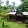 Отель Ngellil Island Bungalows, фото 11