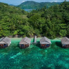 Отель Papua Paradise Eco Resort, фото 15