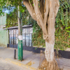 Отель Ayenda Los Colorines de Coyoacán, фото 5