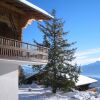 Отель Outstanding Chalet for Groups South Facing Breathtaking Views all Year Round, фото 1