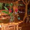 Отель Blue Conga, фото 12