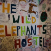 Отель Wild Elephants Hostel, фото 5