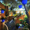 Отель Dream Beach B&B, фото 19