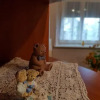 Отель Hostel Famil, фото 14