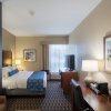 Отель Best Western Plus Greenville I-385 Inn & Suites, фото 3