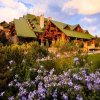 Отель Disneys Wilderness Lodge, фото 26