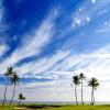 Отель Sheraton Fiji Golf & Beach Resort, фото 20