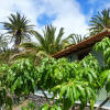 Отель El Pirguan Holiday House, your oasis in La Gomera, фото 13