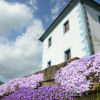Отель Wine Grower's Mansion Zlati Gric, фото 14