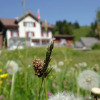 Отель Gasthaus Schwand, фото 11