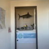 Отель Sea Breeze Motel, фото 18