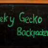 Отель Geeky Gecko Backpackers, фото 10