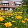 Отель Landhotel Marburg, фото 5