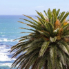 Отель Boulders Views in Camps Bay, фото 25