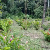 Отель Ecoparque Agua Selva, фото 3