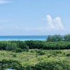 Отель Studio Playa Near the Beach, фото 21