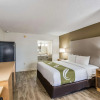 Отель Quality Inn & Suites Hot Springs-Lake Hamilton, фото 29
