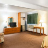 Отель Quality Inn South, фото 4