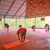 Отель Vajra Ayurveda and Yoga Retreat, фото 21