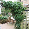 Отель The Talbot Inn, фото 20