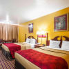 Отель Econo Lodge, фото 6